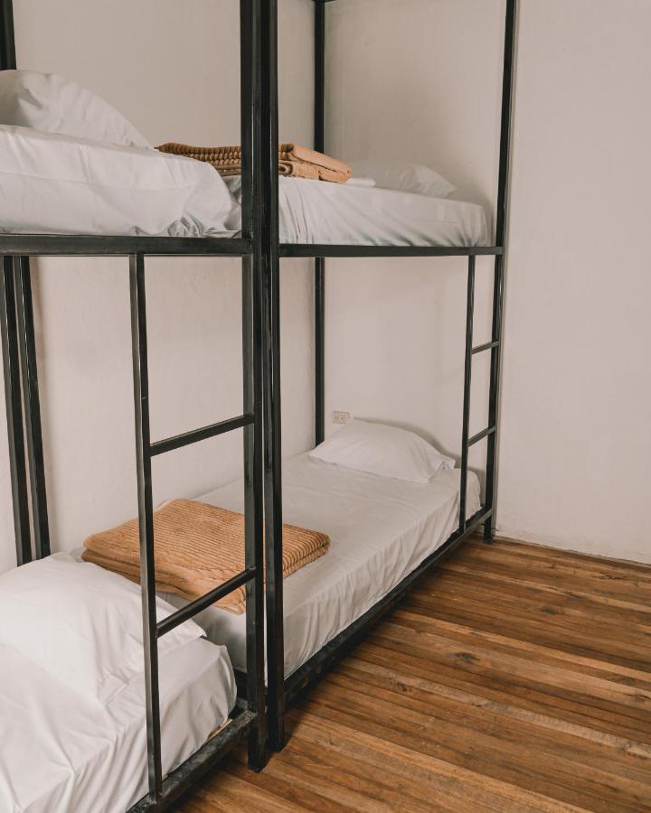 Wild Monkey Hostel Κουένκα Εξωτερικό φωτογραφία