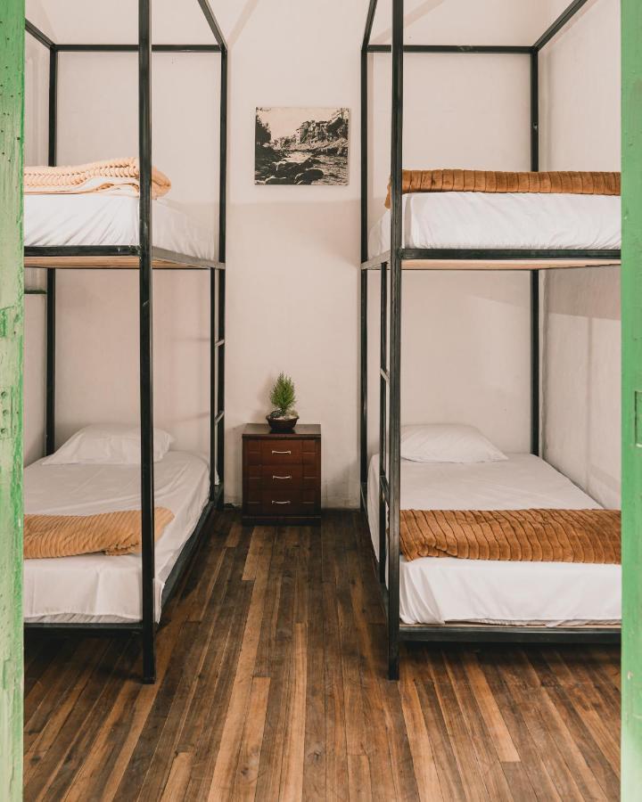 Wild Monkey Hostel Κουένκα Εξωτερικό φωτογραφία